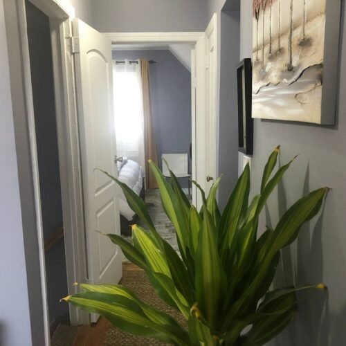 Entire home in Queens, New York, United States