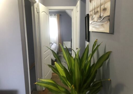 Entire home in Queens, New York, United States